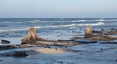 201_0593_3D_P1380495