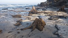 211_0623_3D_P1380504