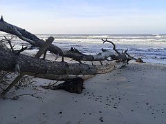 214_0632_p20_IMG_20230209_125603