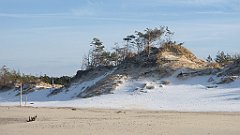 258_0764_3D_P1380516