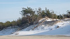 260_0770_3D_P1380518