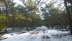 270_0800_3D_P1380524