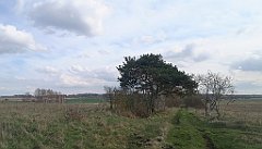 013_p20_IMG_20230414_155640