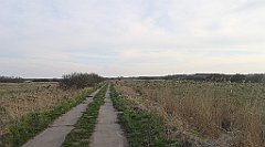 090_p20_IMG_20230414_181046