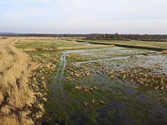 100_p20_IMG_20230414_181649