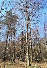 034_p20_IMG_20230423_123618