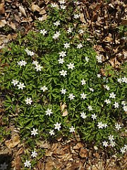 035_p20_IMG_20230423_123630