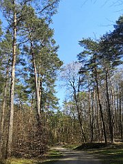 099_p20_IMG_20230423_134215