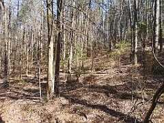 107_p20_IMG_20230423_140138