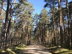 017_iP_230430_IMG_6712