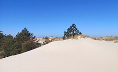 048_p20_IMG_20230430_095957