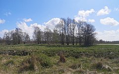 140_p20_IMG_20230430_122337