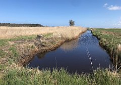 152_iP_230430_IMG_6718