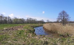 155_p20_IMG_20230430_123514