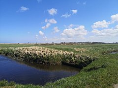 163_p20_IMG_20230430_123945