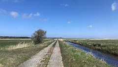 169_iP_230430_IMG_6722