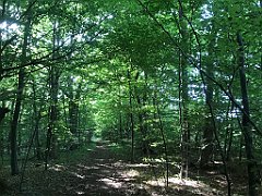 011_iP_230529_IMG_6750