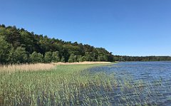 037_iP_230602_IMG_6781