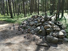 076_p20_IMG_20230602_104911