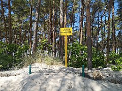 125_p20_IMG_20230602_121909