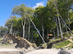 165_p20_IMG_20230602_144348