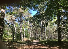 195_iP_230602_IMG_6811