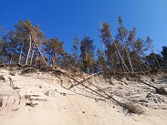 234_p20_IMG_20230602_165926