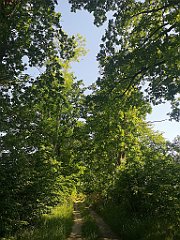 051_p20_IMG_20230608_083153