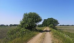 108_p20_IMG_20230608_101803