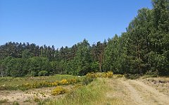 131_p20_IMG_20230608_110826