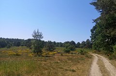 180_p20_IMG_20230608_133010