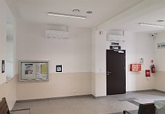 028_p20_IMG_20230617_084230