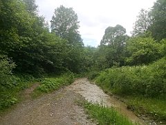 081_p20_IMG_20230618_150635