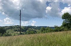 042_ip_230619_IMG_6887