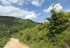 178_ip_230619_IMG_6895