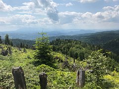 182_ip_230619_IMG_6898