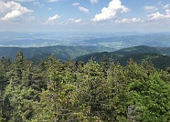 226_ip_230619_IMG_6908