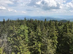 229_ip_230619_IMG_6905