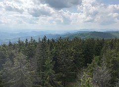 233_ip_230619_IMG_6919