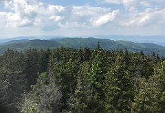 234_ip_230619_IMG_6918