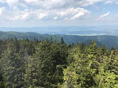 235_ip_230619_IMG_6917