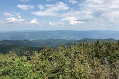 240_ip_230619_IMG_6912