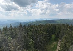 243_ip_230619_IMG_6927