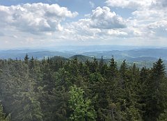 252_ip_230619_IMG_6935