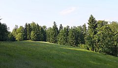 353_p20_IMG_20230619_174649