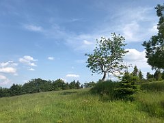 172_ip_230620_IMG_6976