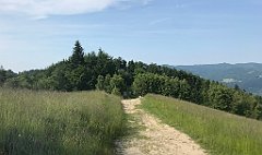 188_ip_230620_IMG_6978