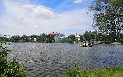 023_p20_IMG_20230708_120425