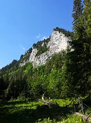 027_p20_IMG_20250616_084706