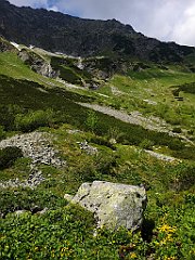 070_p20_IMG_20250616_104729